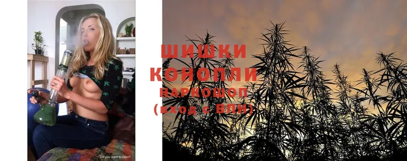 Конопля THC 21%  дарнет шоп  Курчалой 